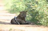 Yala National Park